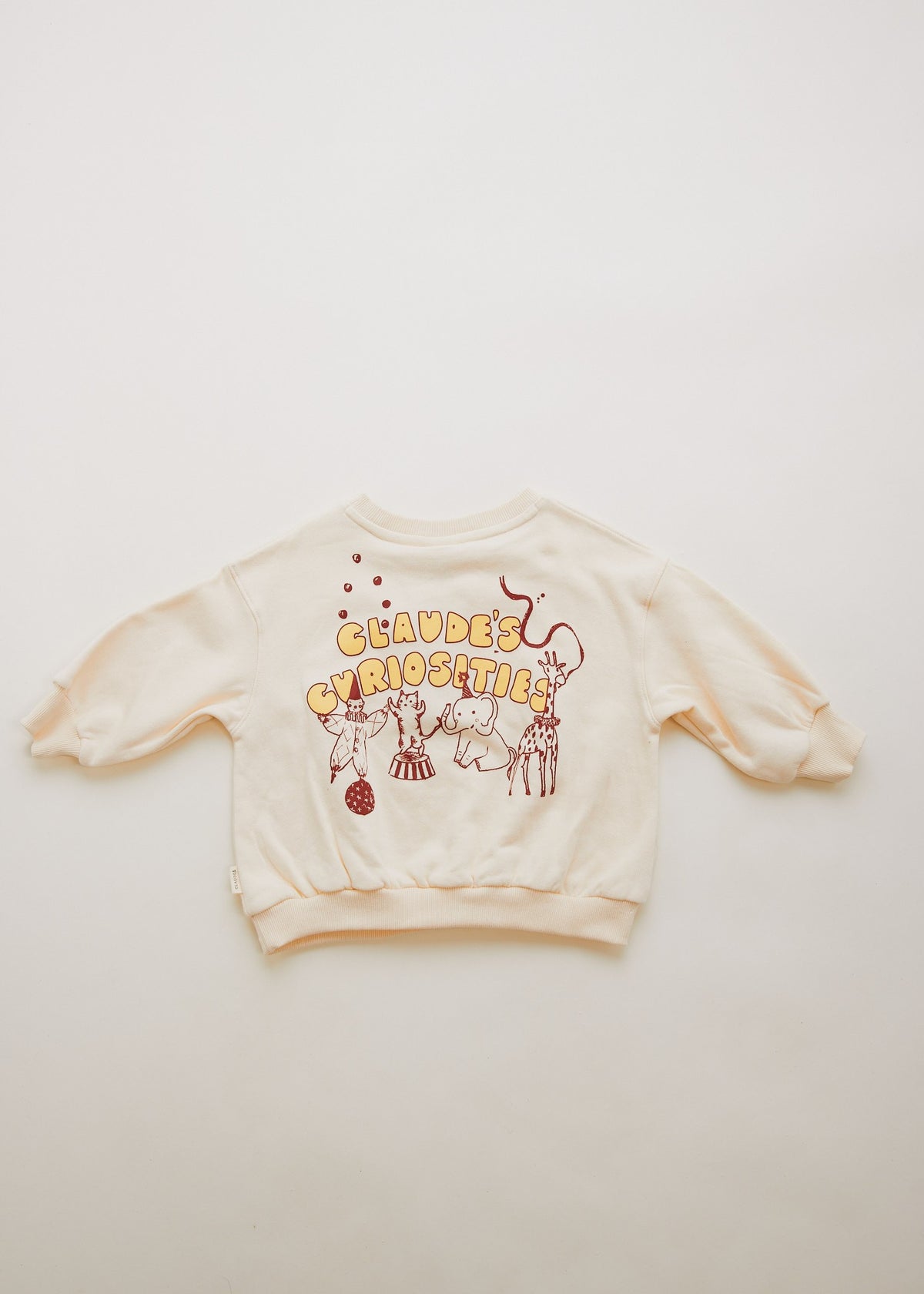 Curiosités pull Carner