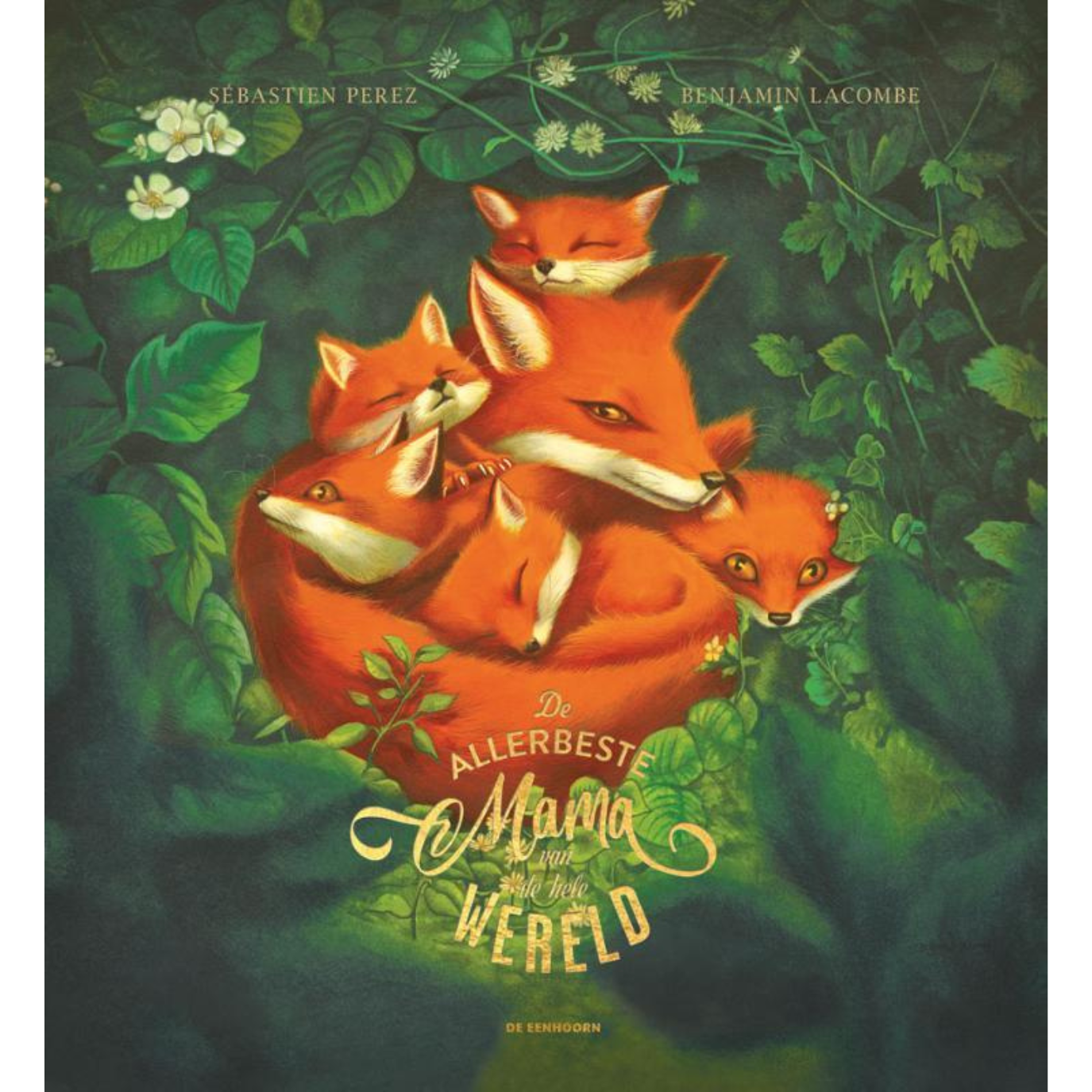 Boek De allerbeste mama van de hele wereld