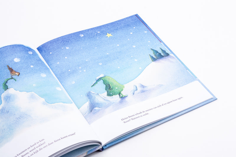 De eerste kerst van Kleine Boom 3+