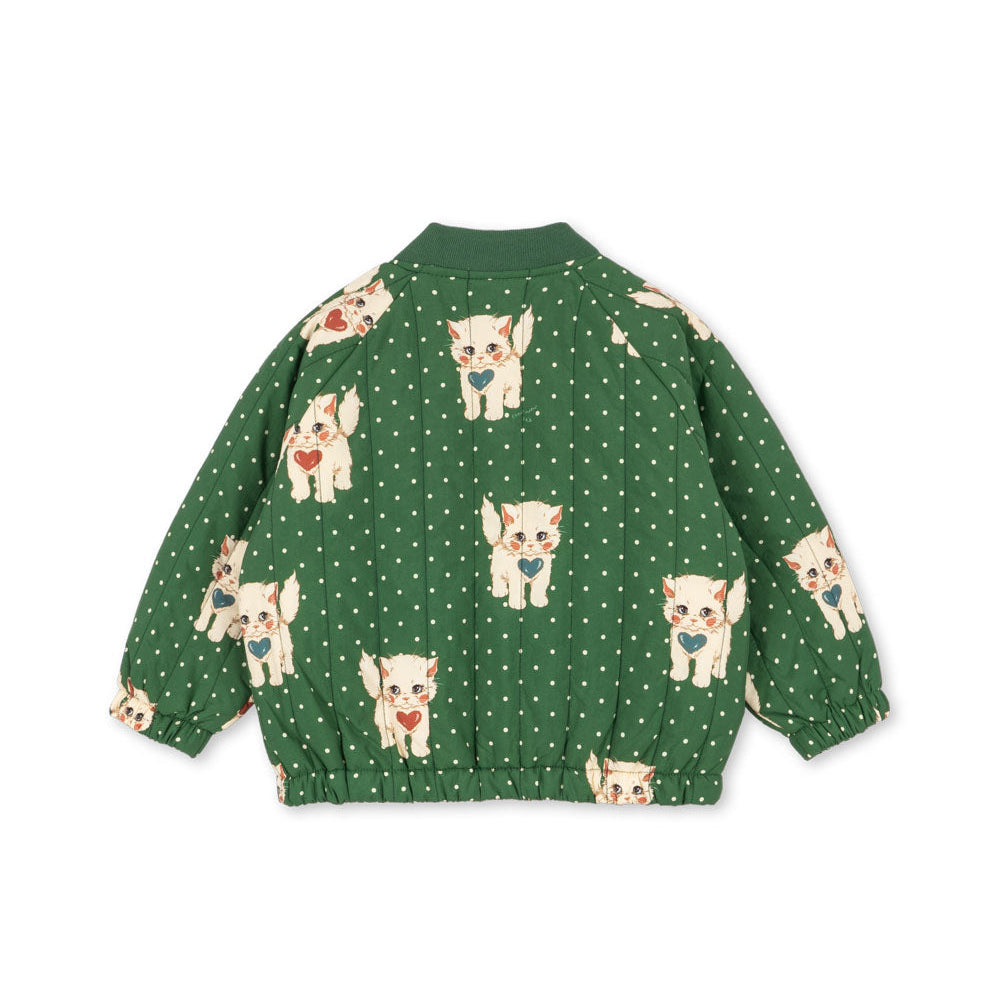 Juno bomber cats dot