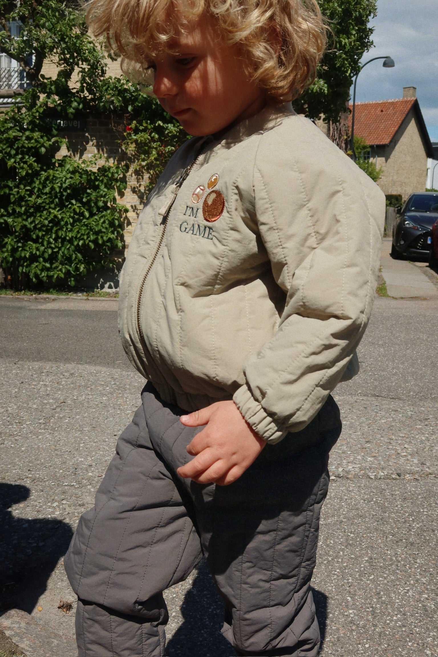 Juno bomber laurel oak