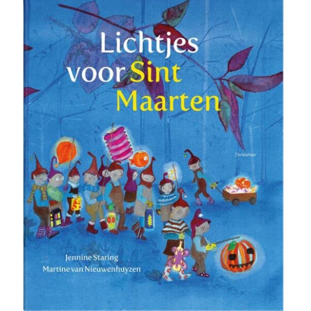 Lichtjes voor Sint-Maarten 3+