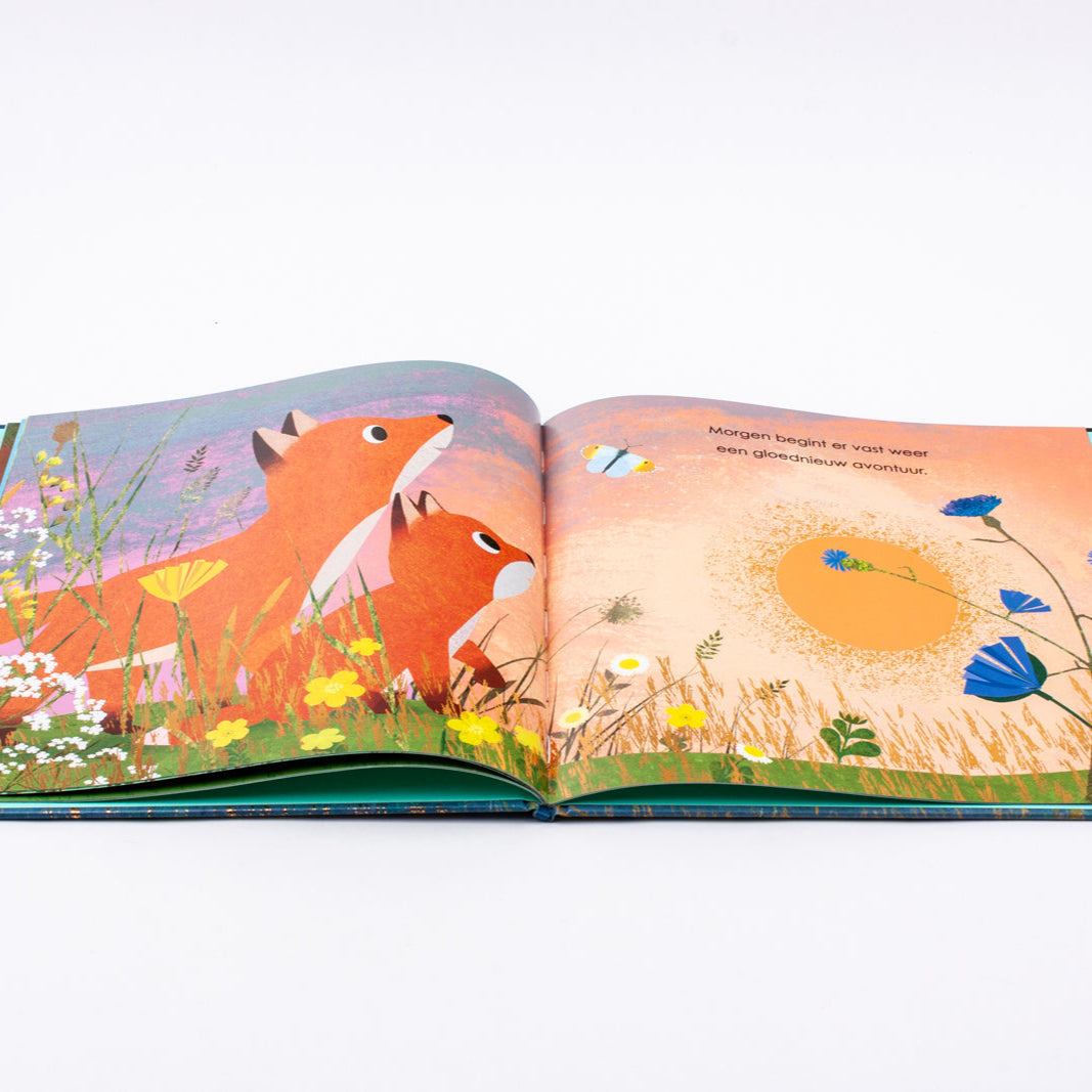 Boek toen ik jouw grote broer werd