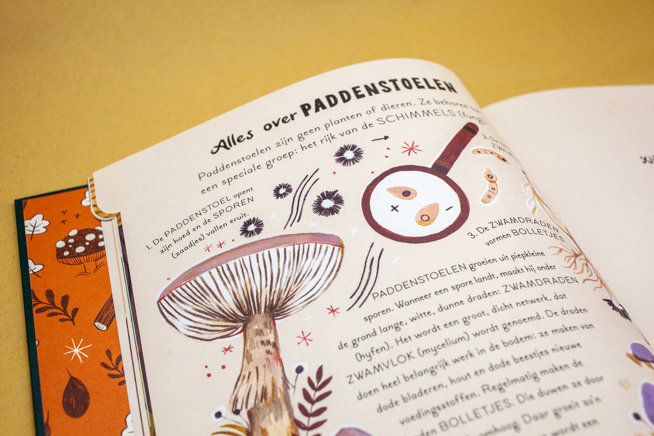 Woud vol wonderen 4+