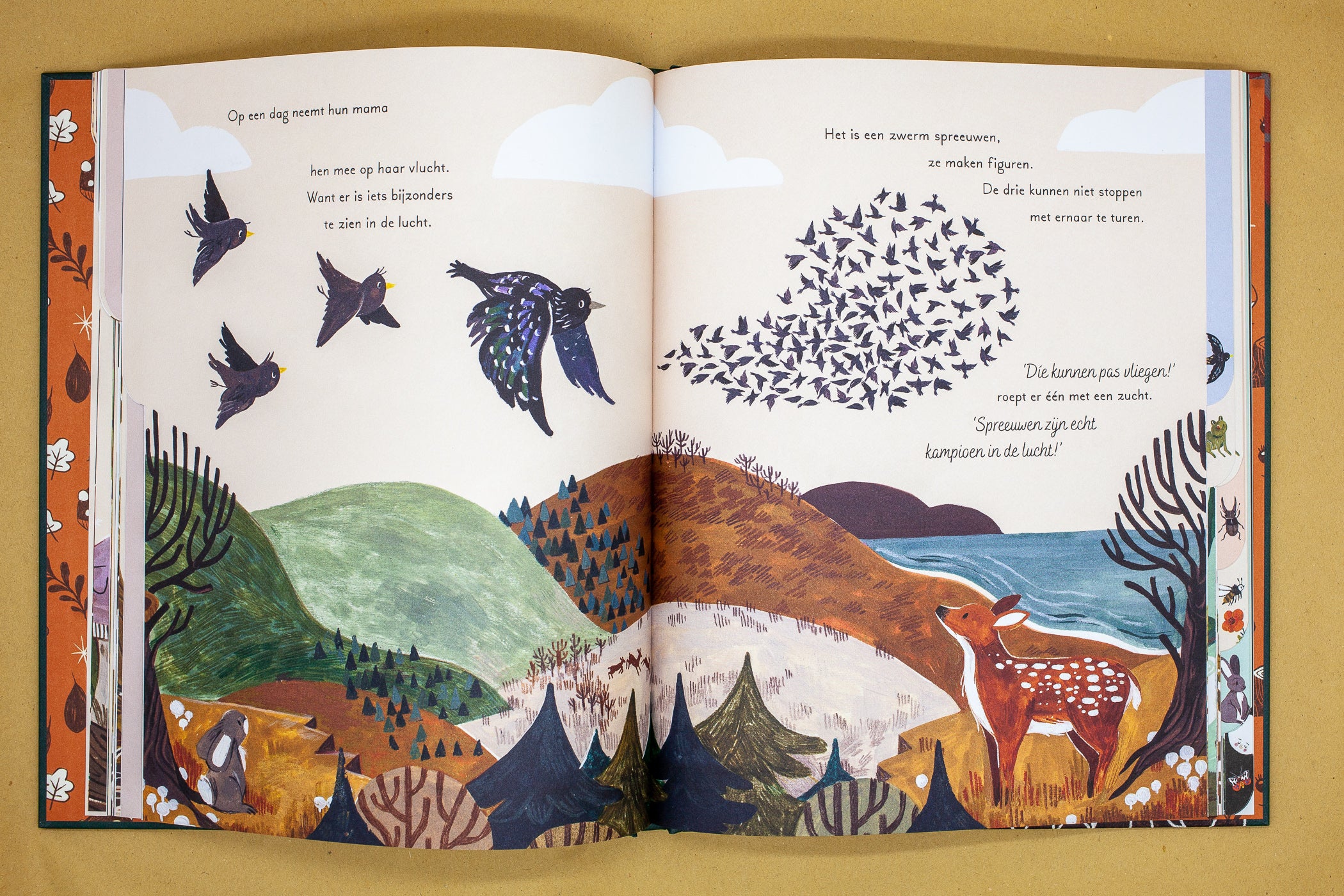 Woud vol wonderen 4+