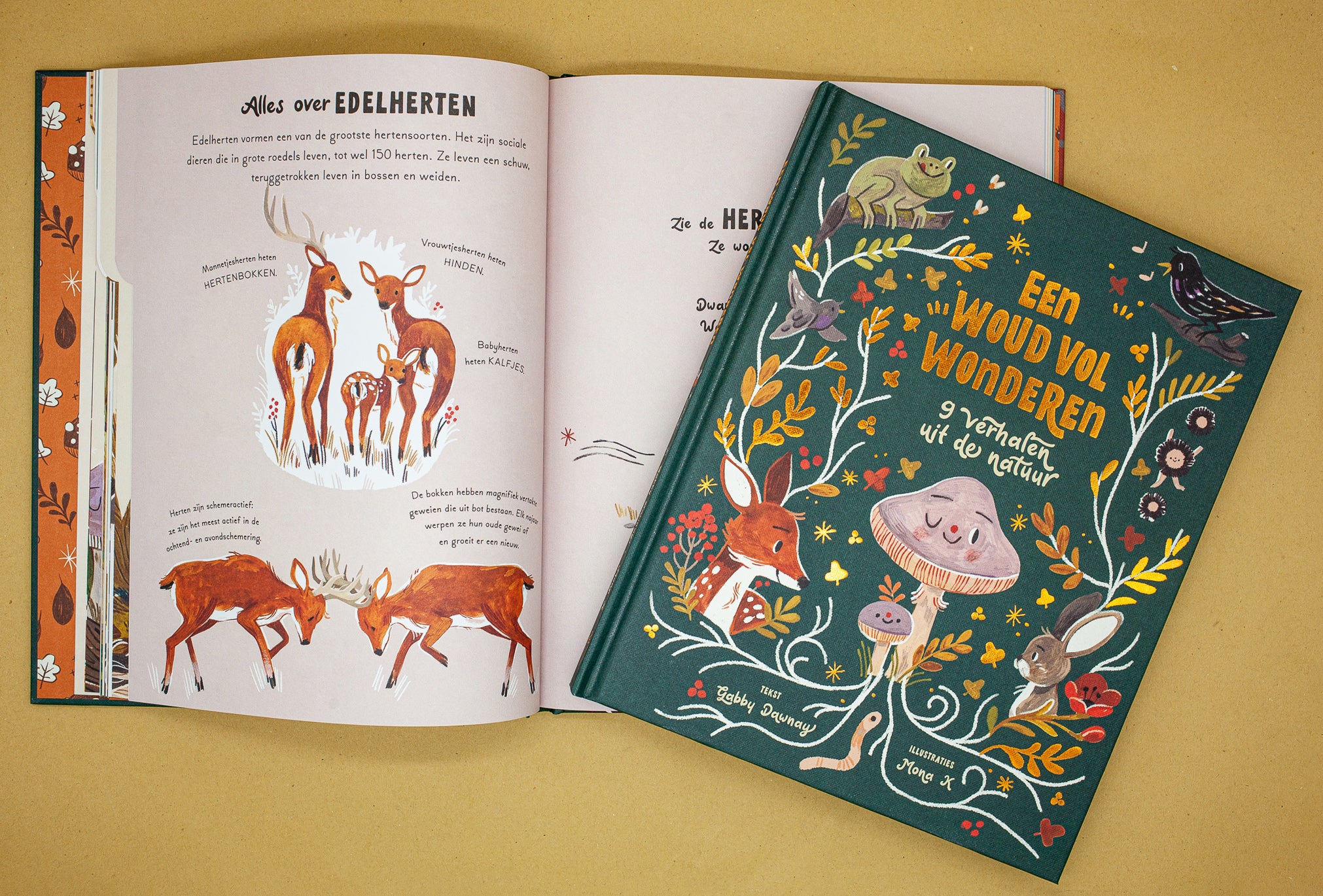 Woud vol wonderen 4+