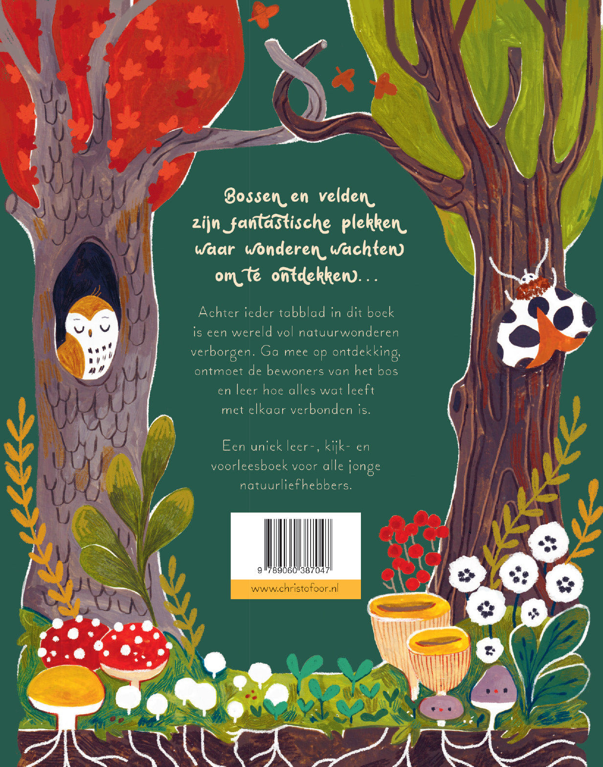 Woud vol wonderen 4+