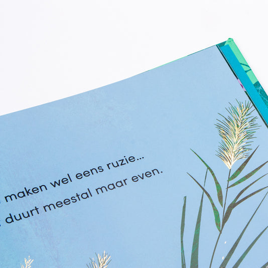regel uit boek toen ik jouw grote zus werd