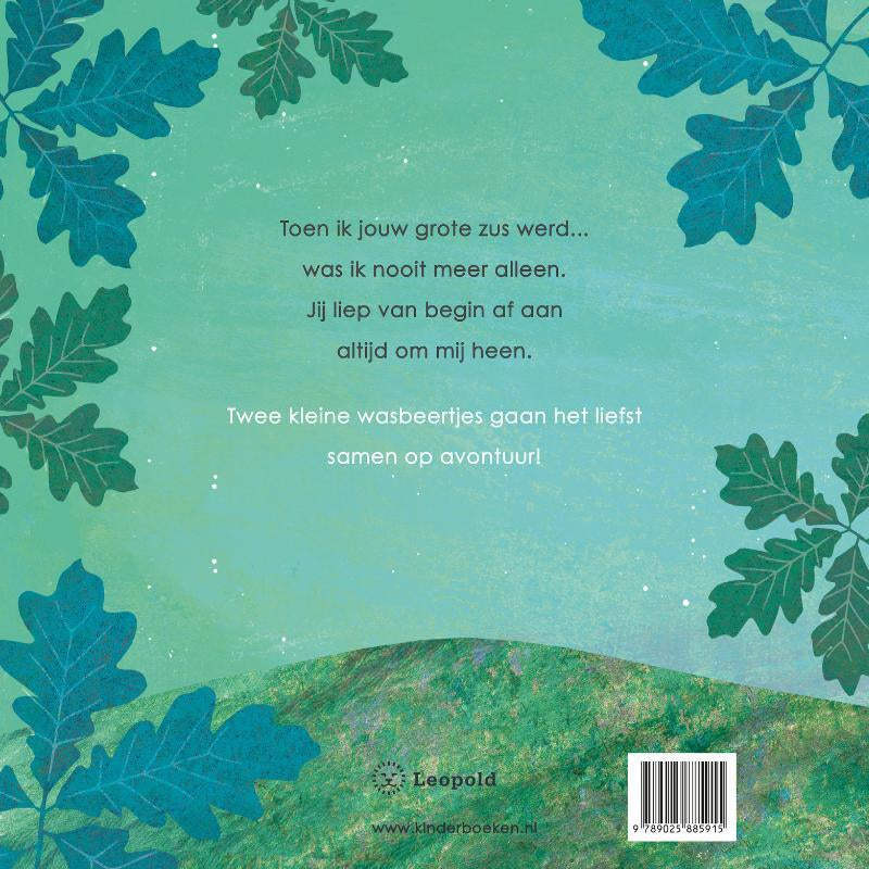 Achterzijde van boek toen ik jouw grote zus werd