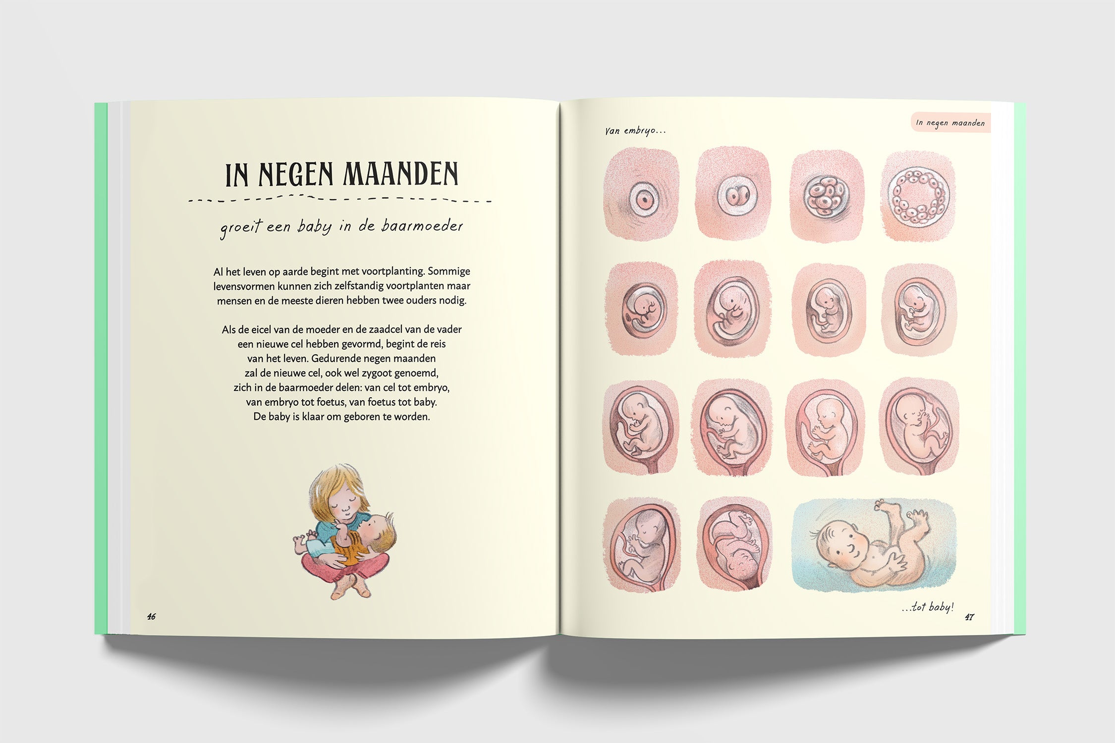 Het Wachten waard 4+