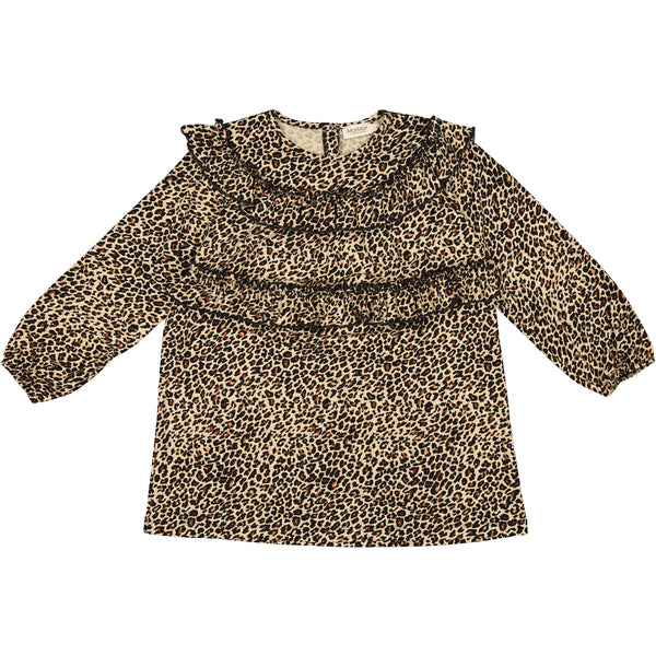 Mar Mar Copenhagen Leo dorna brown leo