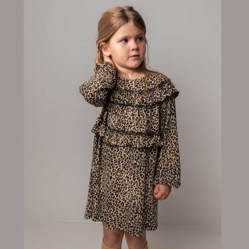 Leo dorna brown leo - Charly's