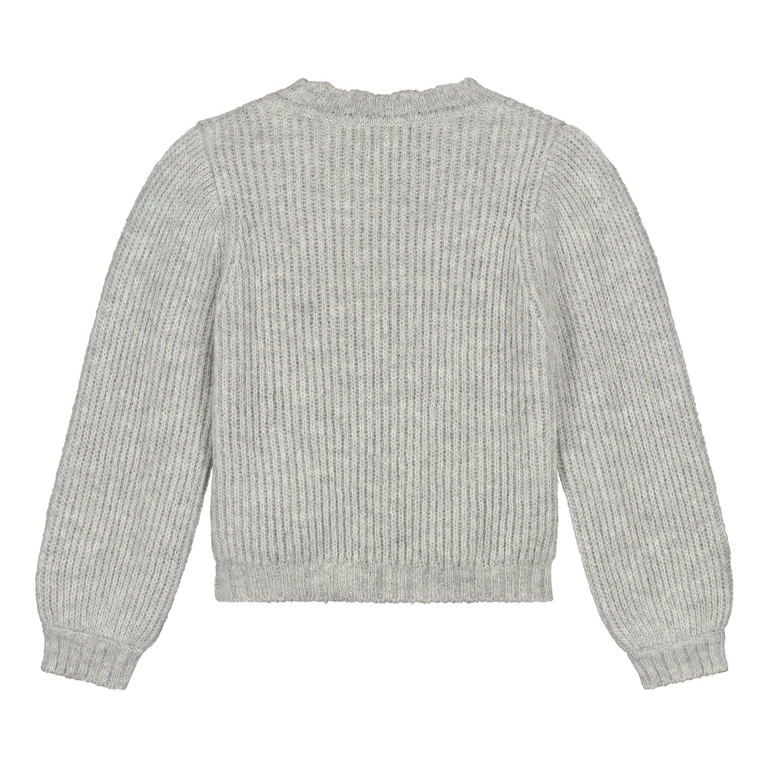 Charlie Petit Hudson trui grijs achterkant.