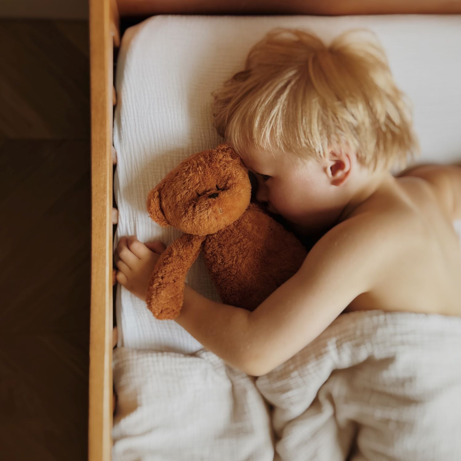 Humming bear caramel Moonie lifestyle.