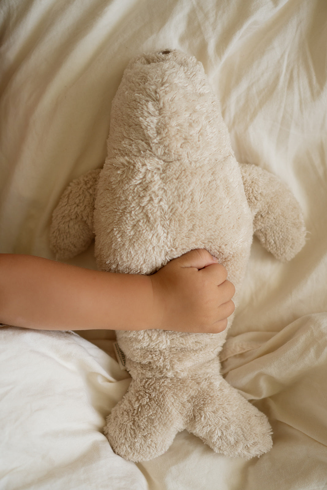 Moonie humming seal sand bovenkant