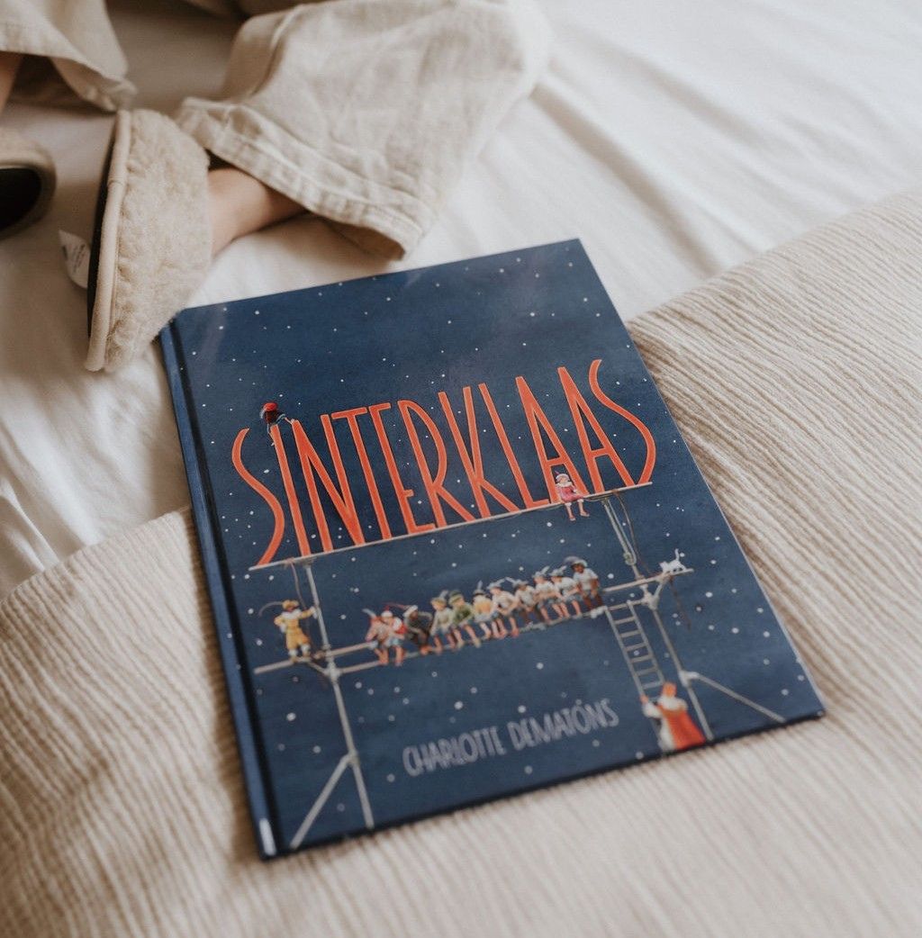 Sinterklaasboek zoekboek 4+