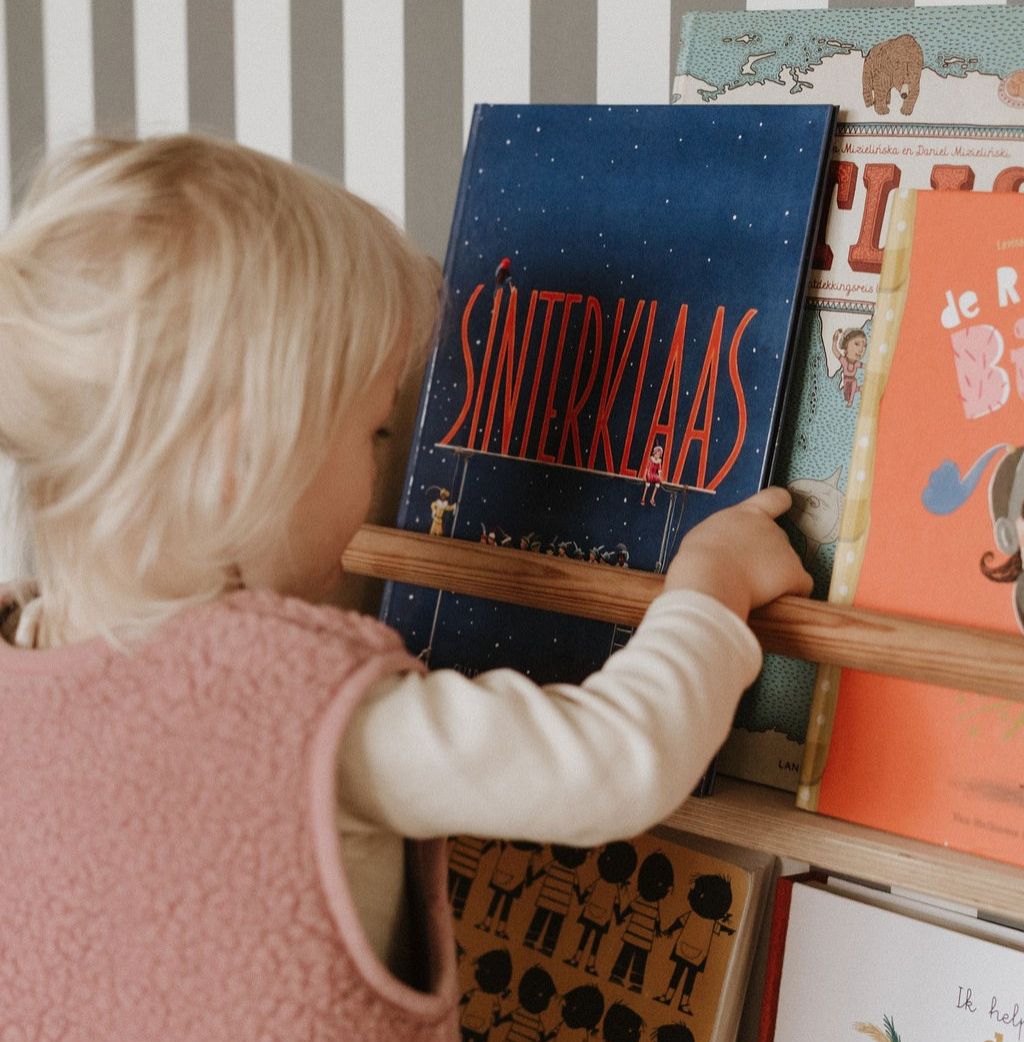 Sinterklaasboek zoekboek 4+
