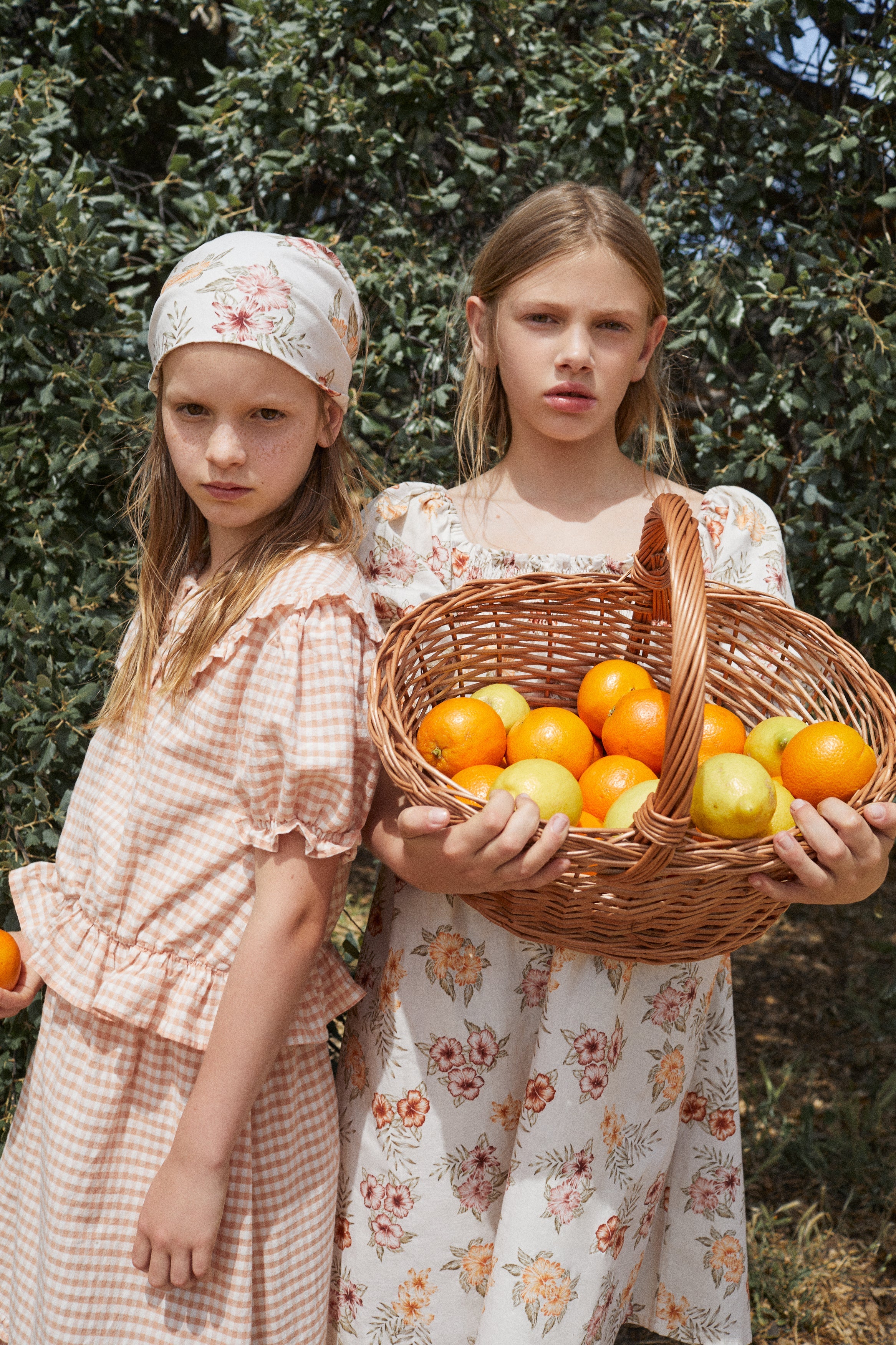 The New Society Petra Blouse | Petra Check