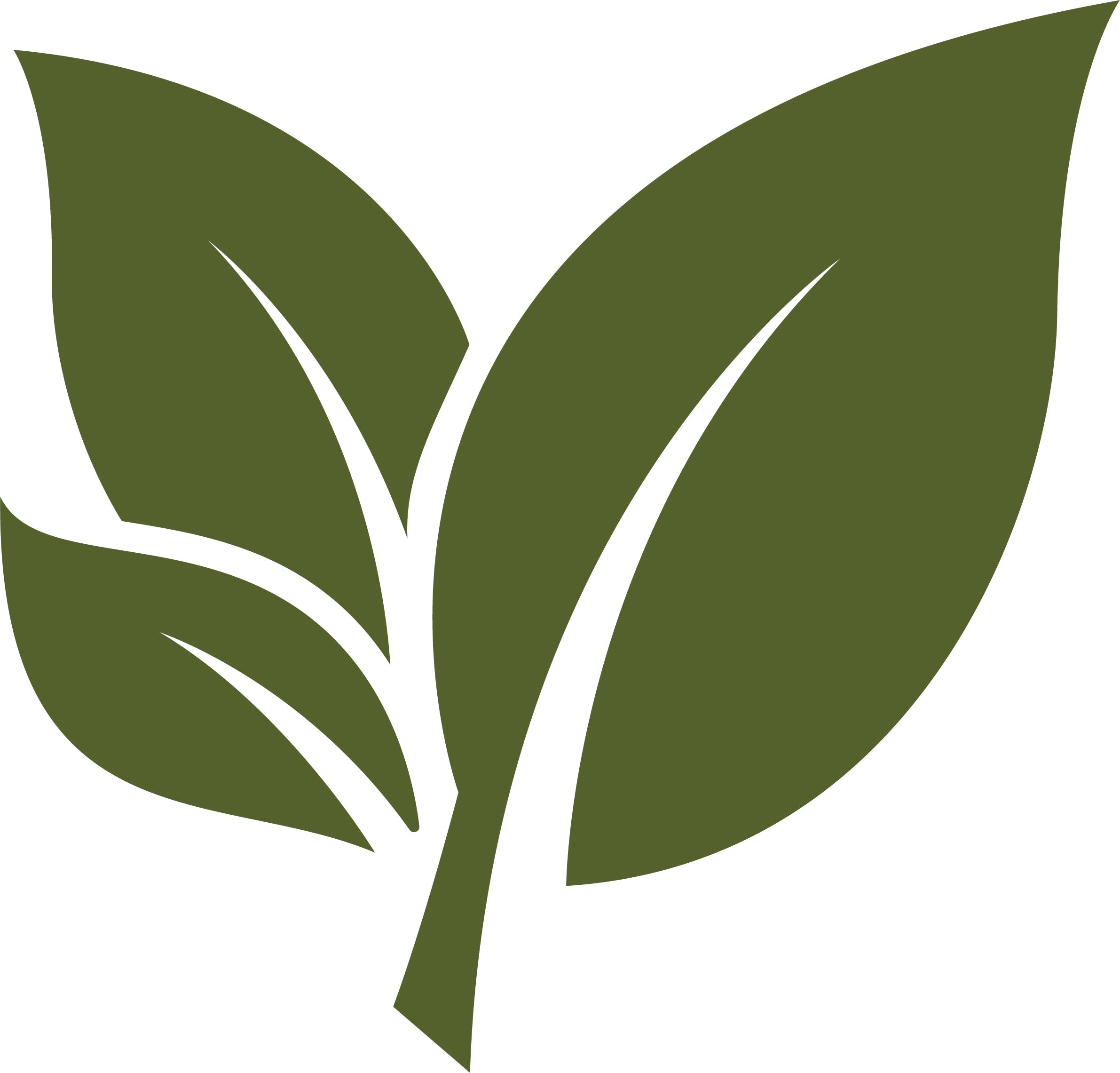 Extra kosten - Charly's