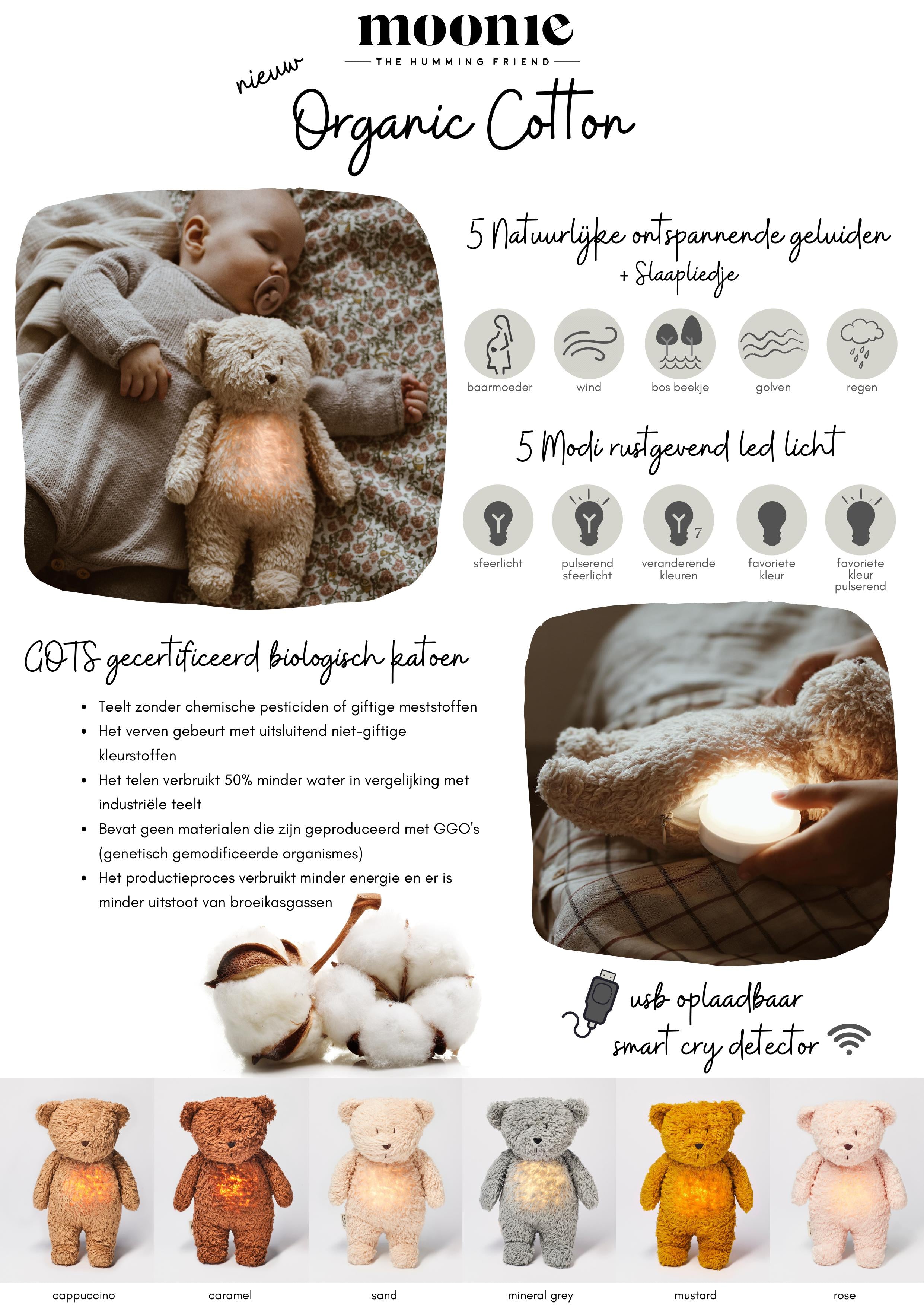 Moonie Humming bear sand