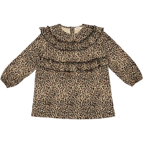 Leo dorna brown leo - Charly's