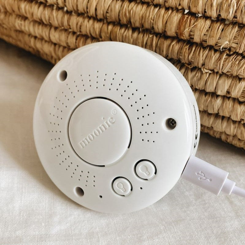 Moonie Humming bear cappuccino